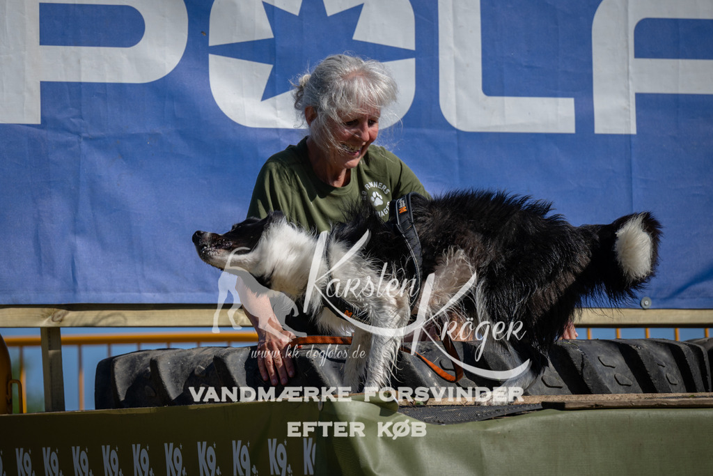 1117_ZZ91079 | kk-dogfotos