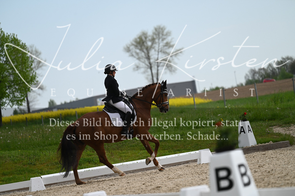 20230512_JK-Röhrsdorf-02-315 | Pferde- und Turnierfotografie in Westsachsen. Pferdeportraits, Auftragszeichnungen und intuitive Kunst.