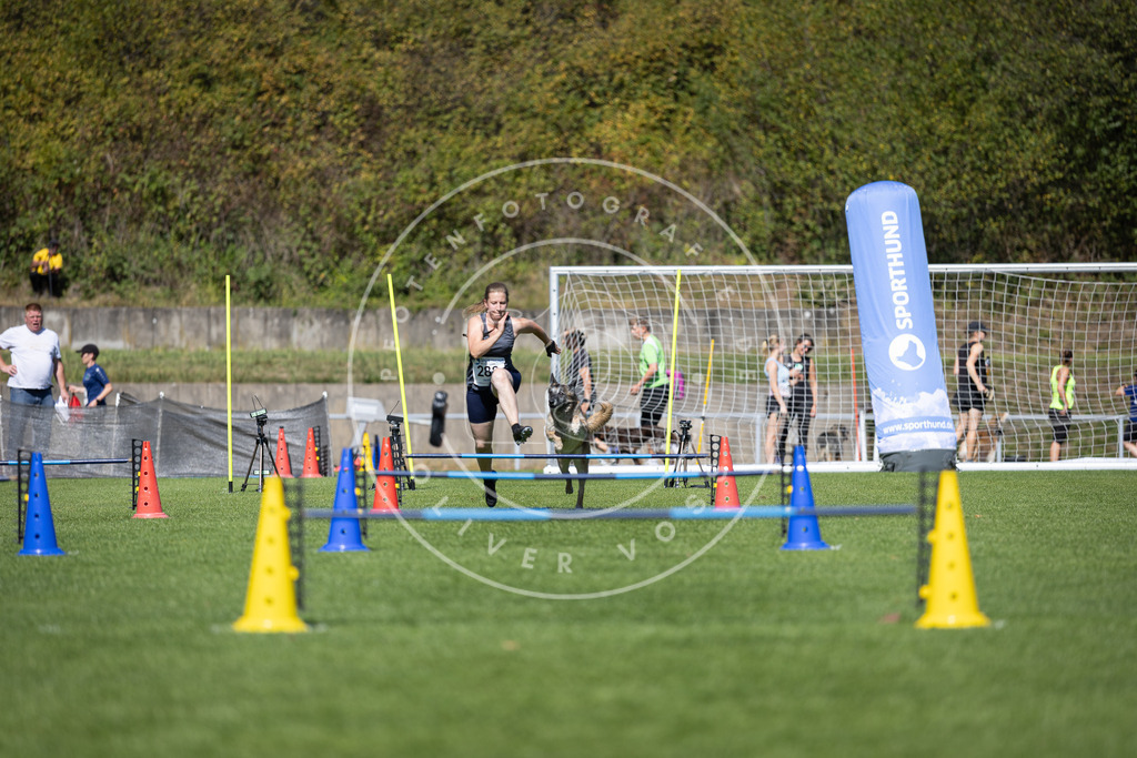 Pfotenfotografie_DV3A7294 | Hundefotografie, Tierfotograf, Pfotenfotografie, Fotoshooting Hund, Hunde Portrait, Hundesport, Hundeportraits, Heideshooting, Hunde, Sportfotograf, Hundefotograf, Turnierhundsport, THS,  - Realisiert mit Pictrs.com