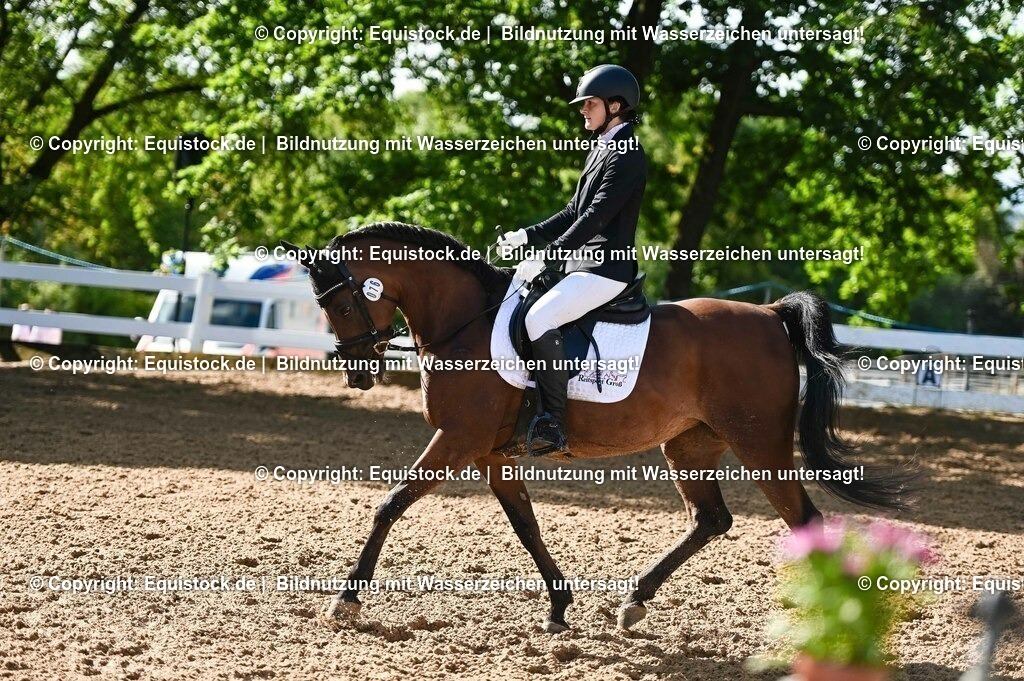 20230716_04_Dressurreiterprüfung Kl.A_0123 | equistock