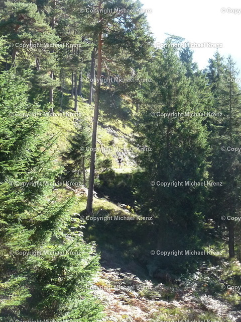 P1020059 | Michael Krenz