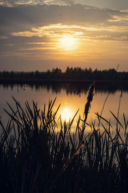 7M302363 | Outdoorpixl Teßen OHG - Realisiert mit Pictrs.com