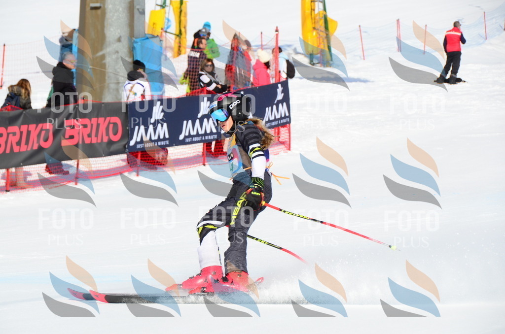 DSC_0539 | holidayphoto