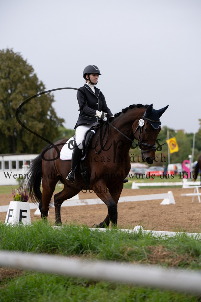 A7V05639 | Pferdefotograf