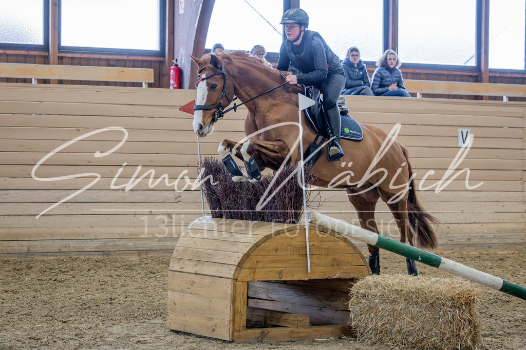 20260222-_3LI1723 | Tierfotografie Pferde, Hunde, Katzen, Haustiere.
Turnierfotografie Reitturniere, Reiten, Springreiten, Dressur in Hanau, dem Main-Kinzig-Kreis und dem Rhein-Main- Gebiet um Frankfurt