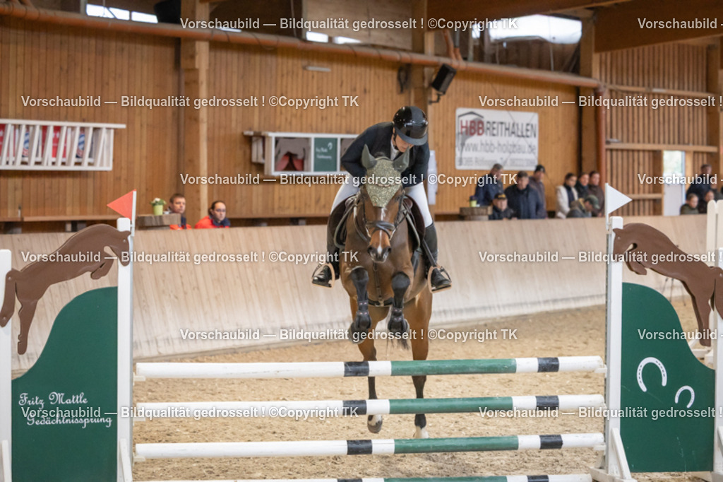 _D5A7103 | Emotionale Pferde- & People-Fotografie rund um Heidelberg, Leimen & Umgebung. Natürliche Fotos von Pferd, Mensch & Familie. Jetzt Termin sichern!