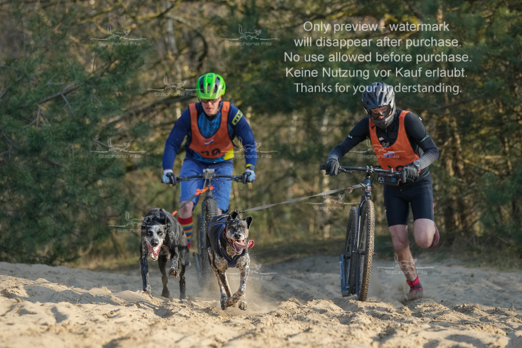 So_Scooter-109 | stephaniefillaphotographie - Realisiert mit Pictrs.com