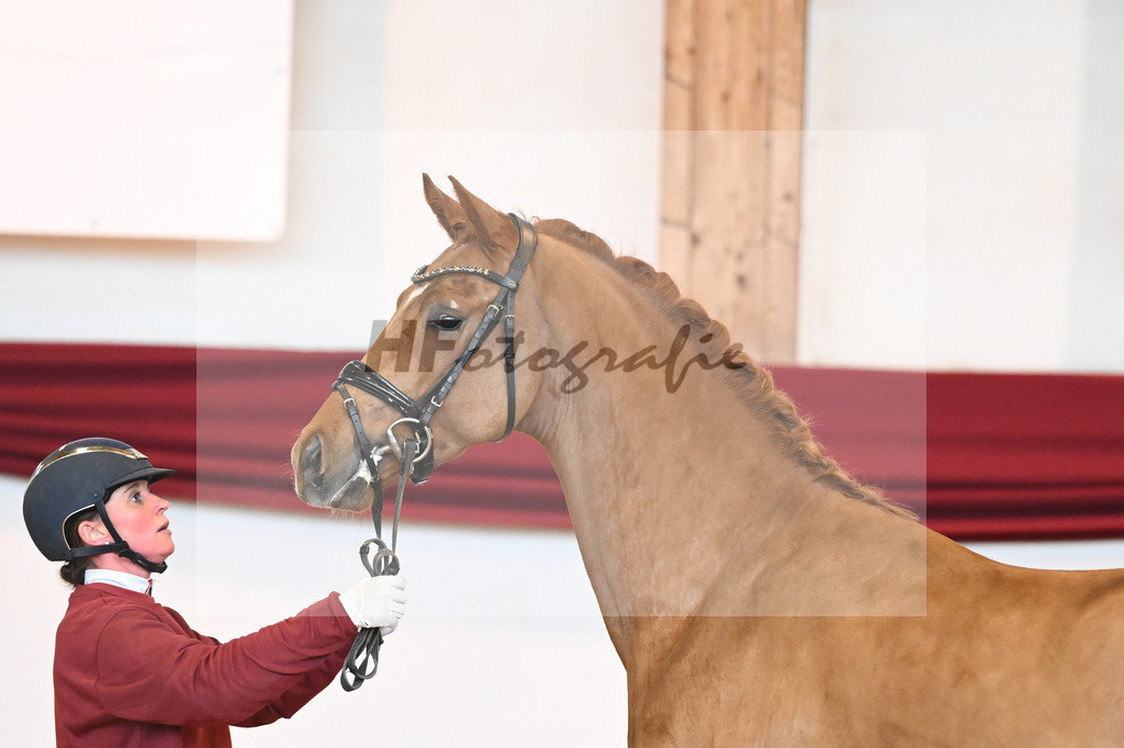 Kat-Nr. 52 v. Vaderland_Galneder_66220726 | hf-fotografie - Realisiert mit Pictrs.com