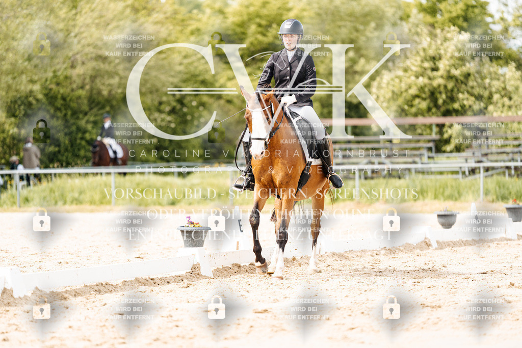 CK901273 | Turnierfotografie Pferdefotografie Trier Rheinland-Pfalz Pferdesport Reitsport Tierfotografie Sportfotografie Pferdevideo Pferdevideografie Equestrianvideography equestrianphotography  - Realisiert mit Pictrs.com