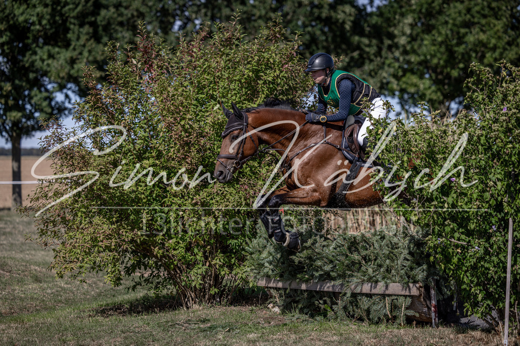 20260906-_3LI5639 | Tierfotografie Pferde, Hunde, Katzen, Haustiere.
Turnierfotografie Reitturniere, Reiten, Springreiten, Dressur in Hanau, dem Main-Kinzig-Kreis und dem Rhein-Main- Gebiet um Frankfurt