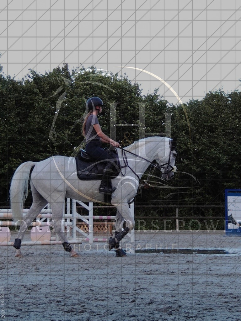 1787943165___C0570226 | handhphotographie - Realisiert mit Pictrs.com