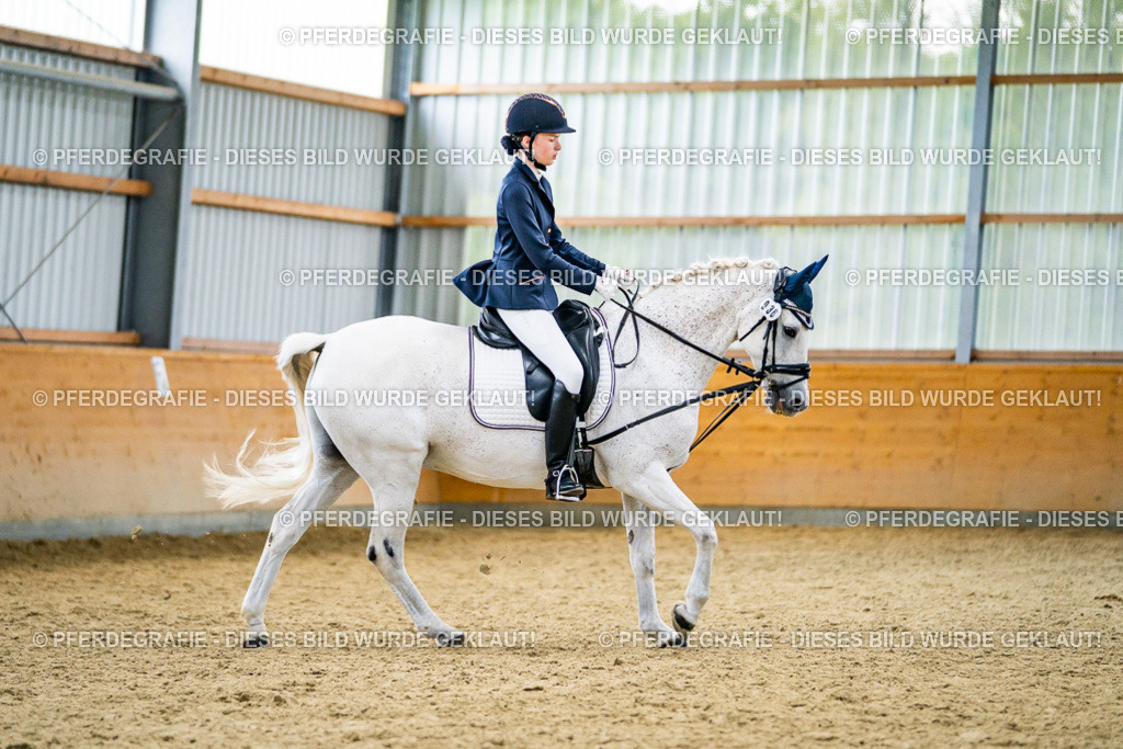 DSC04905 | Pferdegrafie