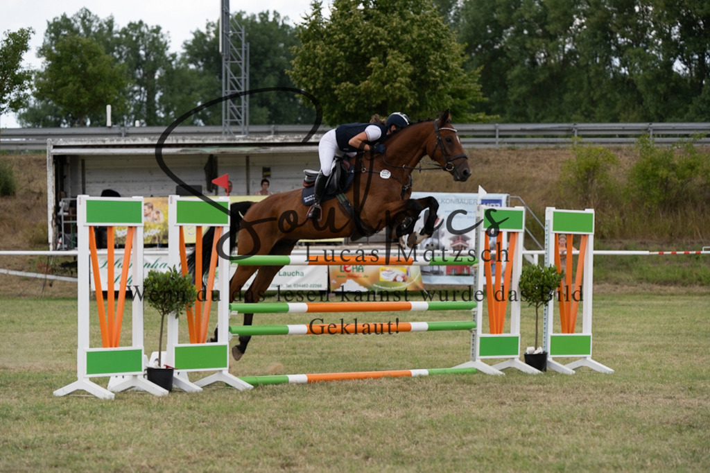 A7V02498 | Pferdefotograf