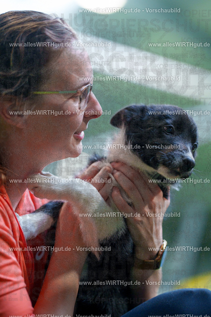 @allesWIRTHgut_Tierfotografie - www.allesWIRTHgut.de - 2604251314-7R503696 | Professionelle Tierfotografie in Mönchengladbach von Daniel Wirth (allesWIRTHgut). Liebevolle & natürliche Bilder von Hunden & Katzen für unvergessliche Erinnerungen.