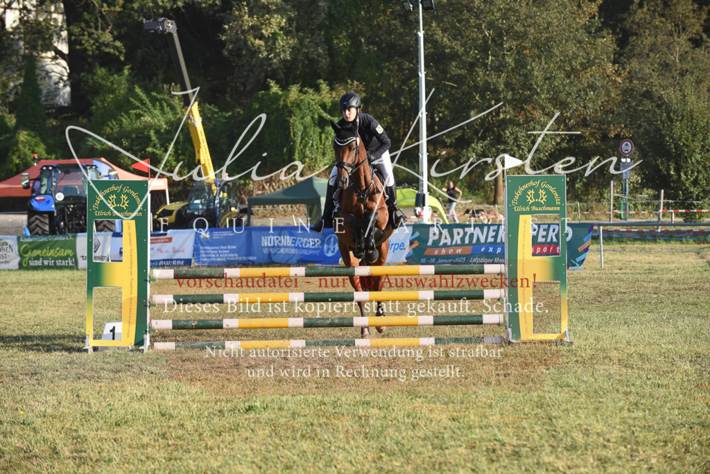 DSC_4864 | Pferde- und Turnierfotografie in Westsachsen. Pferdeportraits, Auftragszeichnungen und intuitive Kunst.