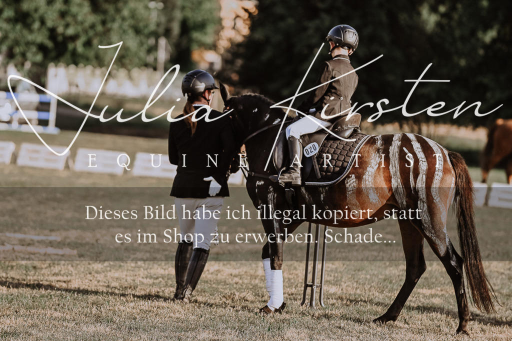 DSC_0212 | Pferde- und Turnierfotografie in Westsachsen. Pferdeportraits, Auftragszeichnungen und intuitive Kunst.