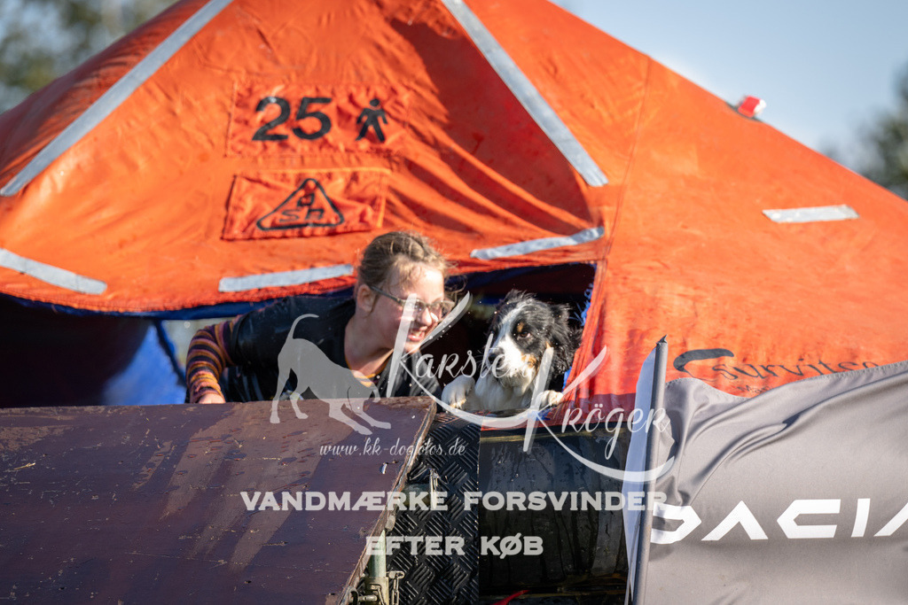 1440-94752 | kk-dogfotos