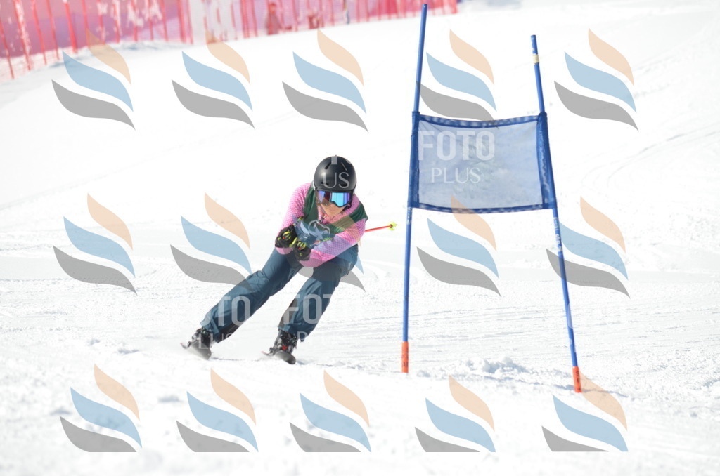 D8912 | holidayphoto