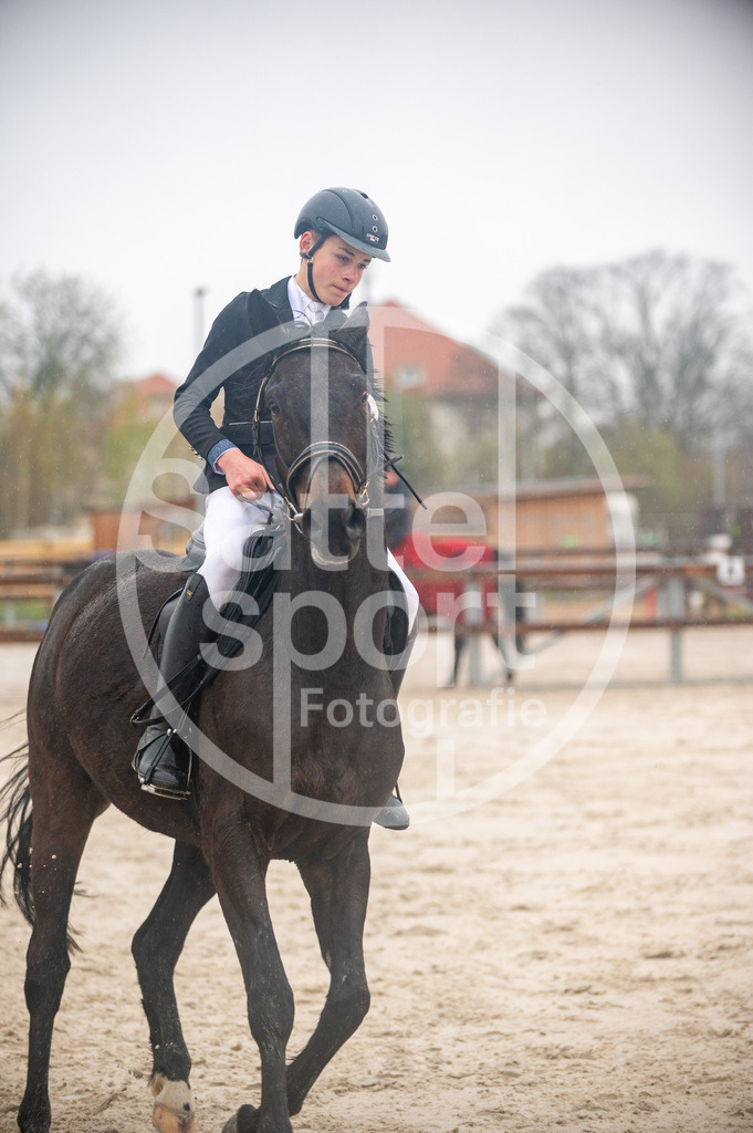 DSC_3700 | sattelsport - Realisiert mit Pictrs.com