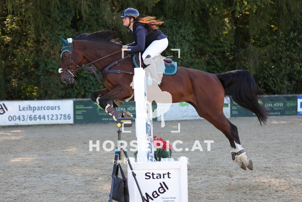 0P6A0805 | Willkommen bei Brunnmayr - Design & Fotografie – Ihrem Spezialisten für Reitturniere und Pferdeveranstaltungen in Oberösterreich, Salzburg und Bayern! Seit über 17 Jahren sind wir leidenschaftlich dabei.