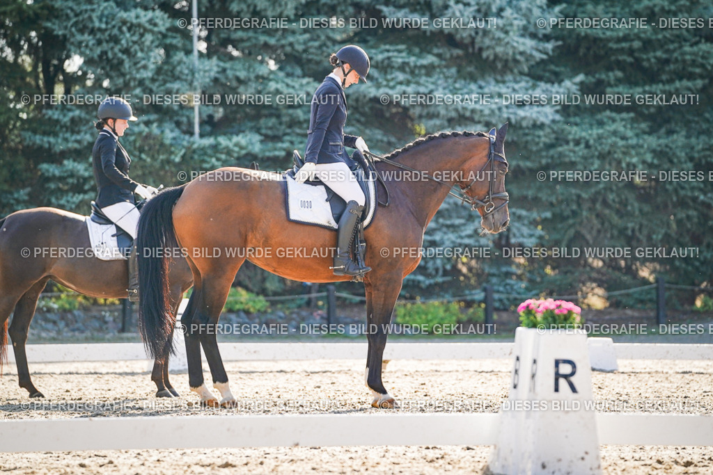 DSC08961 | Pferdegrafie