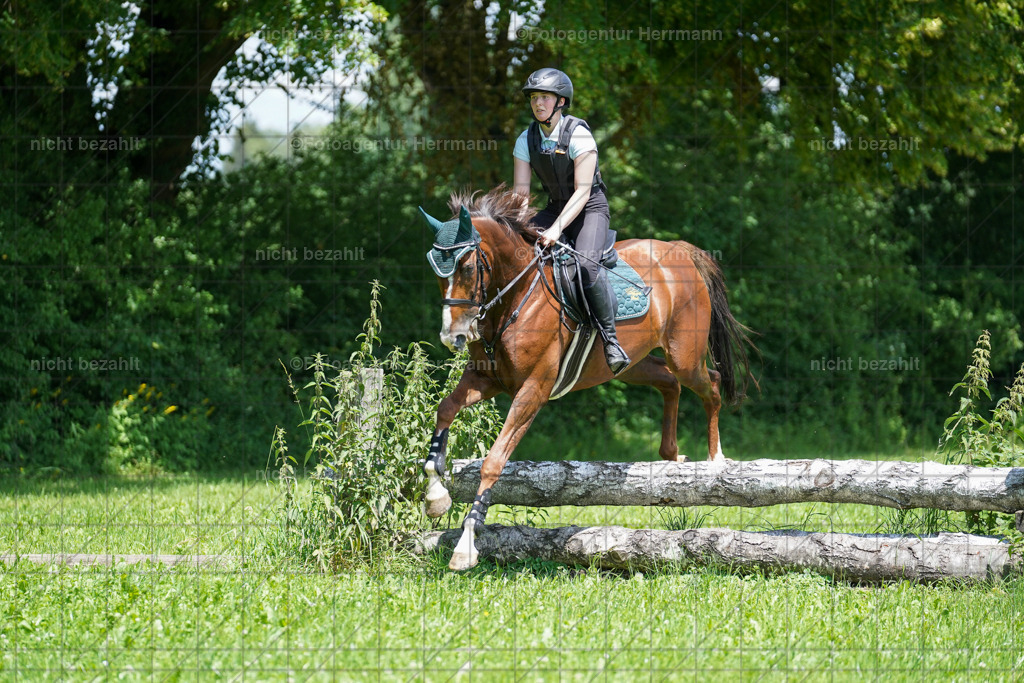 20240622-FAH07081 | Turnierfotografen Bayern, Reitsportbilder aus dem Geländekurs mit Felix Etzel auf dem Gut Waitzacker 2024