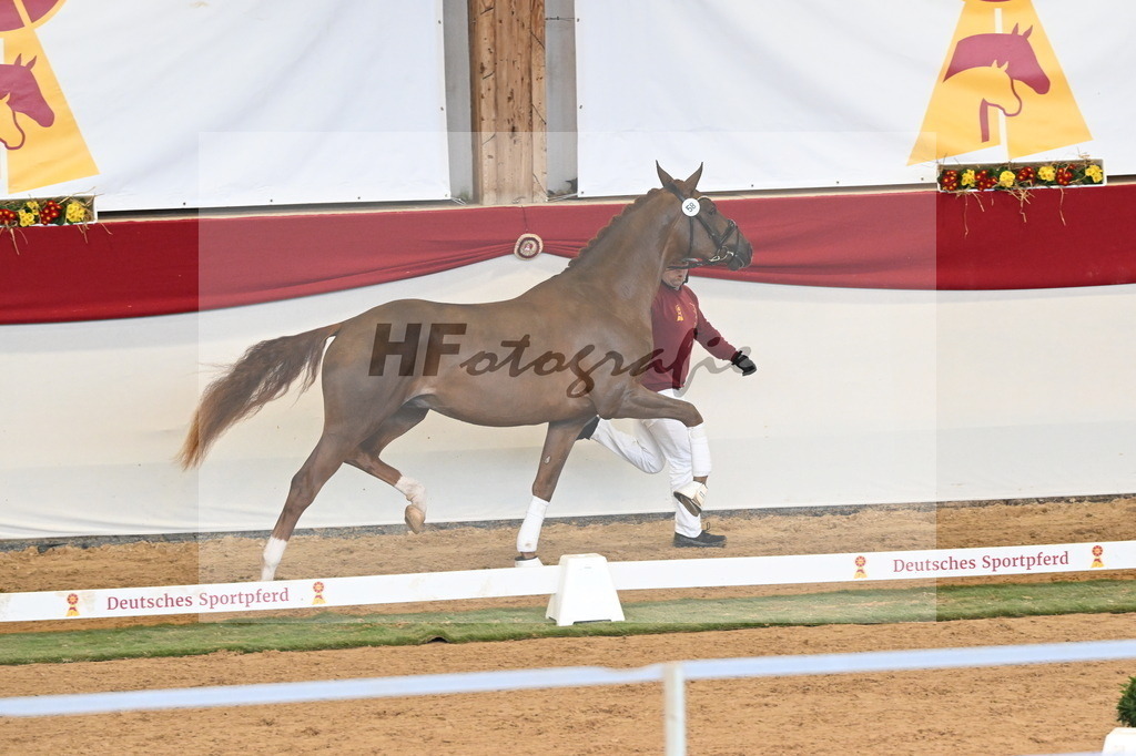 Kat.-Nr. 58 v. Filox_Rothenberger_3260627 | hf-fotografie - Realisiert mit Pictrs.com