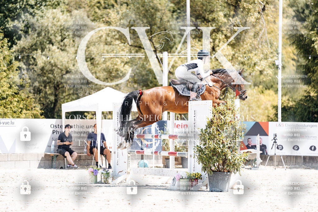 CK900273 | Turnierfotografie Pferdefotografie Trier Rheinland-Pfalz Pferdesport Reitsport Tierfotografie Sportfotografie Pferdevideo Pferdevideografie Equestrianvideography equestrianphotography  - Realisiert mit Pictrs.com