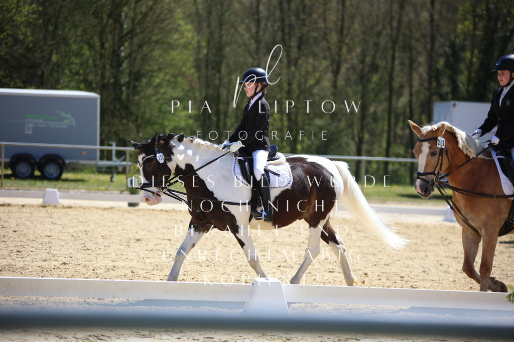 IMGT1167 | pl-fotografie