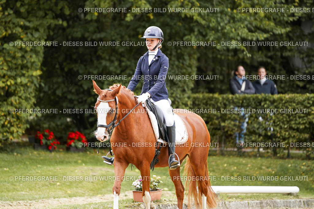 DSC08846 | Pferdegrafie