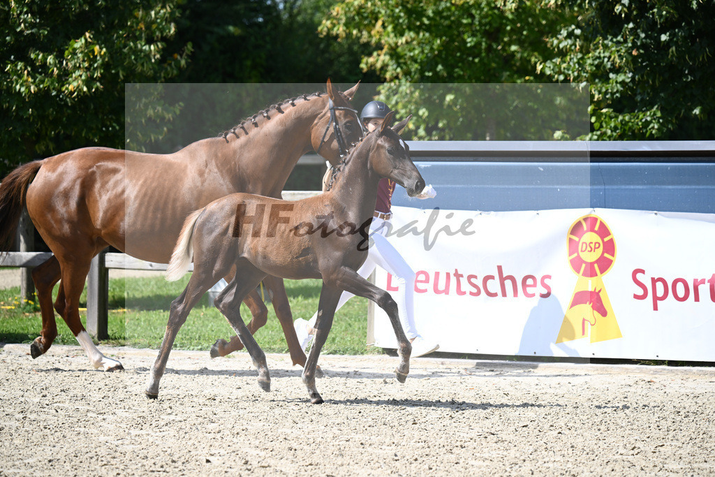 Bonds x So Unique_SF_Schaefferer_29240232 | hf-fotografie - Realisiert mit Pictrs.com