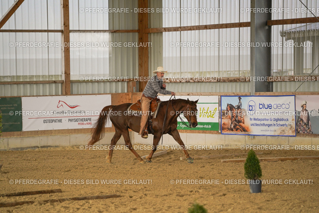 DSC02269 | Pferdegrafie