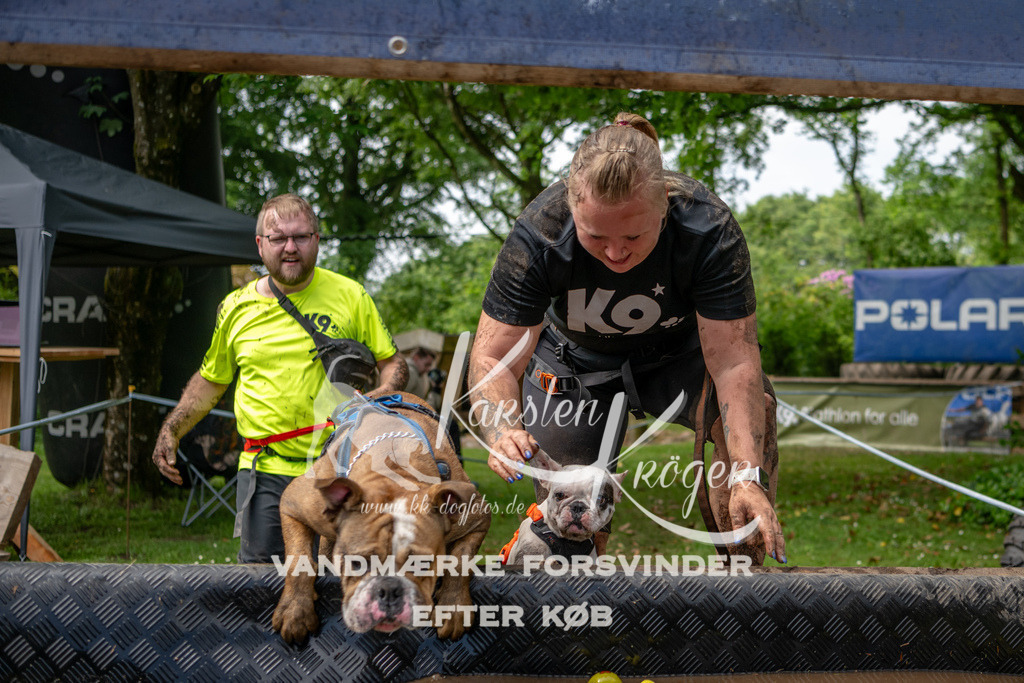 1115_ZZ93420 | kk-dogfotos
