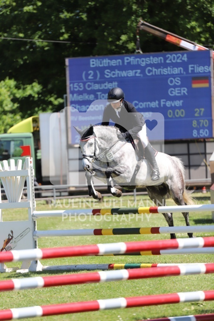 IMG_6287 | Pauline Ullmann Photography - Realisiert mit Pictrs.com