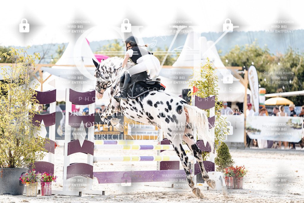 CK905953 | Turnierfotografie Pferdefotografie Trier Rheinland-Pfalz Pferdesport Reitsport Tierfotografie Sportfotografie Pferdevideo Pferdevideografie Equestrianvideography equestrianphotography  - Realisiert mit Pictrs.com