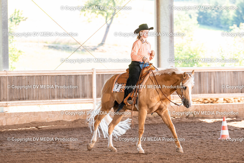 Erbach Tag 3-275 | dv-media-shop - Realisiert mit Pictrs.com