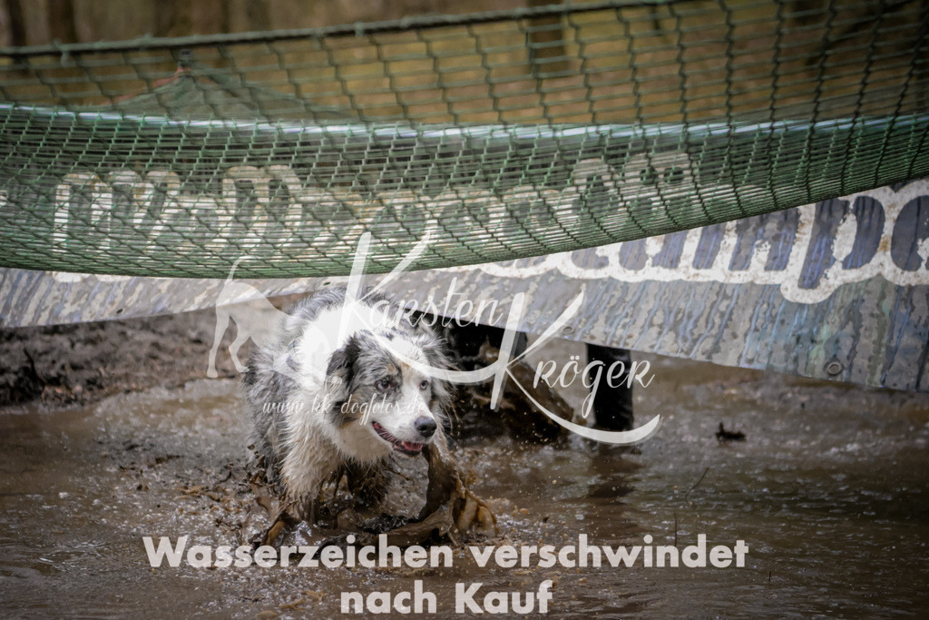 0915_ZZ96945 | kk-dogfotos