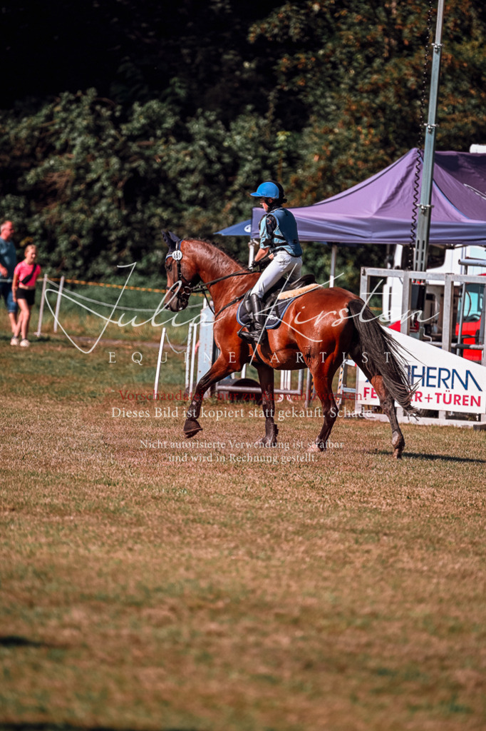 DSC_0806 | Pferde- und Turnierfotografie in Westsachsen. Pferdeportraits, Auftragszeichnungen und intuitive Kunst.