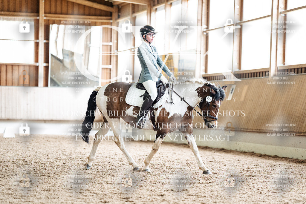CK901109 | Turnierfotografie Pferdefotografie Trier Rheinland-Pfalz Pferdesport Reitsport Tierfotografie Sportfotografie Pferdevideo Pferdevideografie Equestrianvideography equestrianphotography  - Realisiert mit Pictrs.com