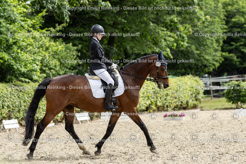 CL5A7300 | Emilia Reinking Fotografie - Realisiert mit Pictrs.com