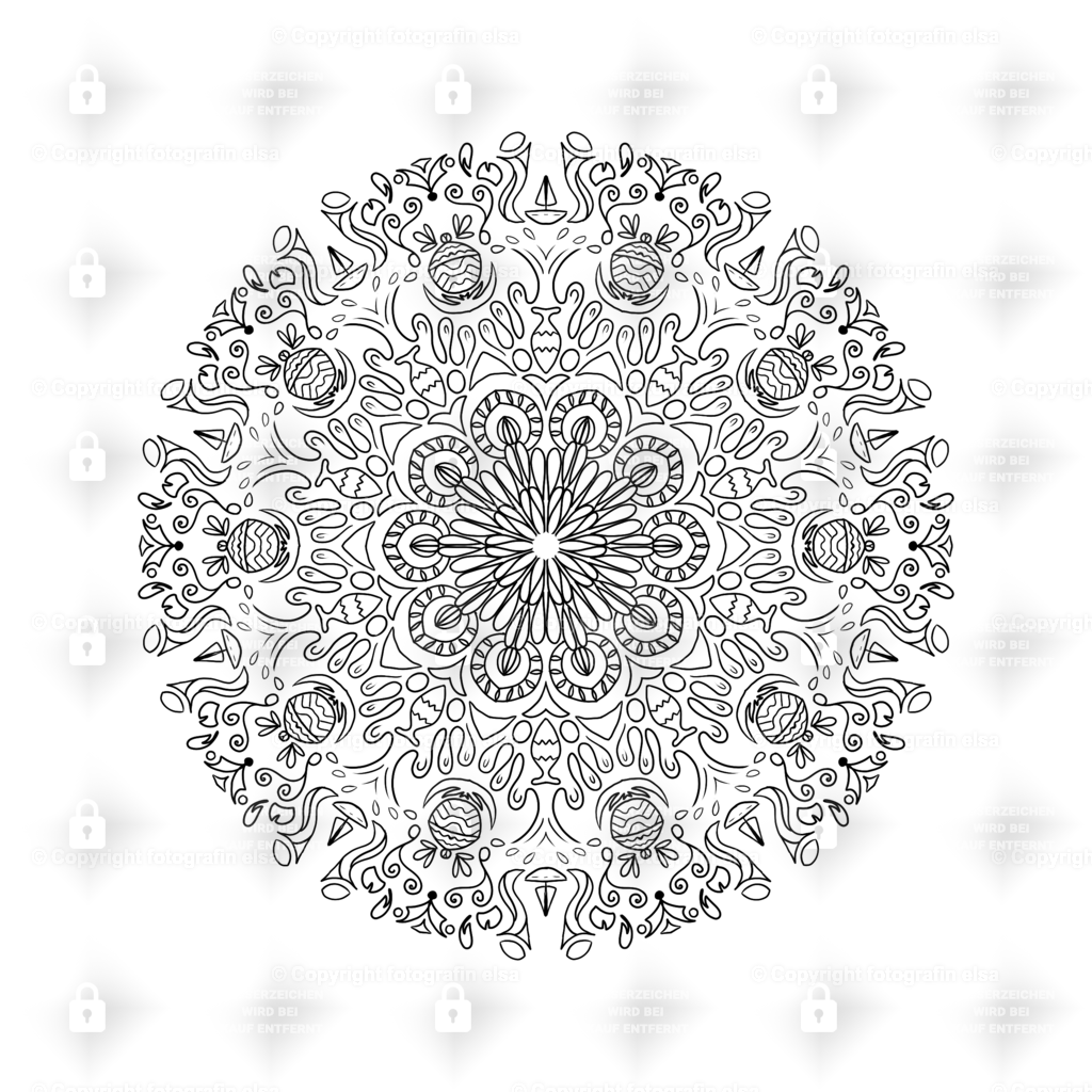 68Seite | fotografinelsa