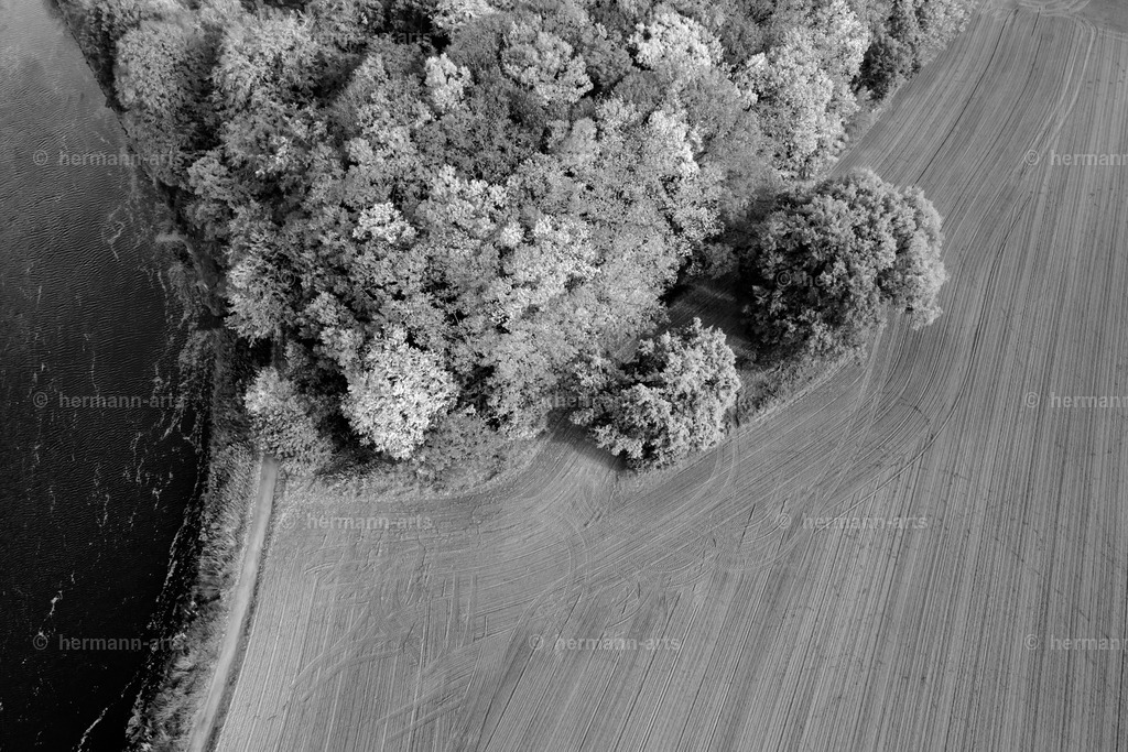 Trees_fine_Art_0040 | Photo Foto Kunst Art schwarzweiss Bilder Rheine Münster Berlin Blumen 