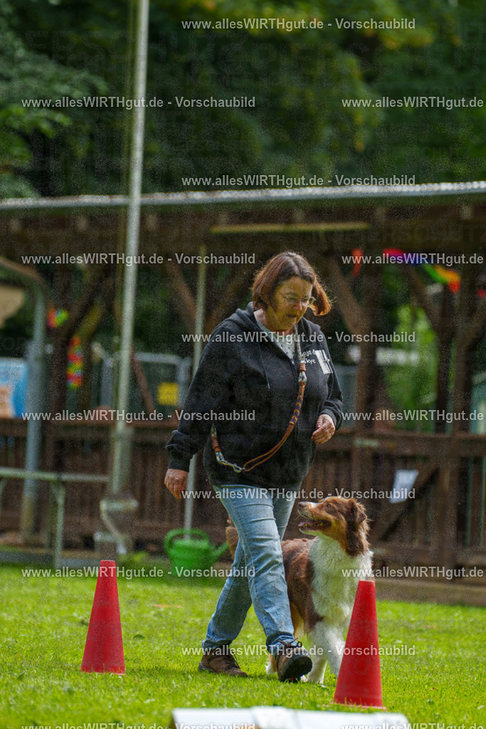 @allesWIRTHgut_Tierfotografie - www.allesWIRTHgut.de - 094631-7R507599 | Professionelle Tierfotografie in Mönchengladbach von Daniel Wirth (allesWIRTHgut). Liebevolle & natürliche Bilder von Hunden & Katzen für unvergessliche Erinnerungen.