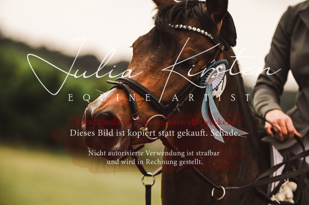 DSC_7018 | Pferde- und Turnierfotografie in Westsachsen. Pferdeportraits, Auftragszeichnungen und intuitive Kunst.