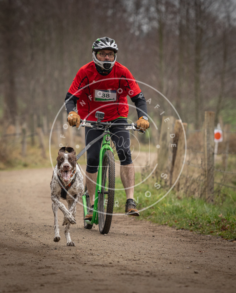 Pfotenfotografie_DV3A2531 | Hundefotografie, Tierfotograf, Pfotenfotografie, Fotoshooting Hund, Hunde Portrait, Hundesport, Hundeportraits, Heideshooting, Hunde, Sportfotograf, Hundefotograf, Turnierhundsport, THS,  - Realisiert mit Pictrs.com