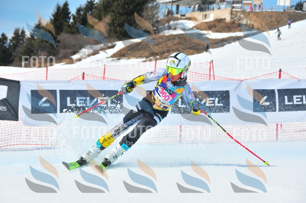 DSC_7036 | holidayphoto