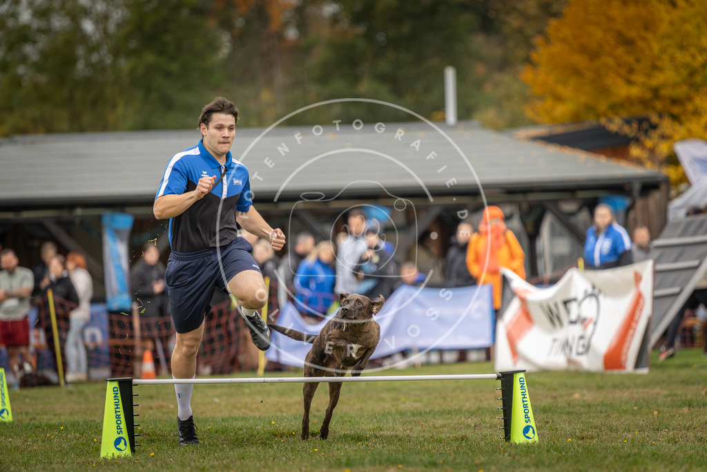 Pfotenfotografie_DV3A5110 | Hundefotografie, Tierfotograf, Pfotenfotografie, Fotoshooting Hund, Hunde Portrait, Hundesport, Hundeportraits, Heideshooting, Hunde, Sportfotograf, Hundefotograf, Turnierhundsport, THS,  - Realisiert mit Pictrs.com