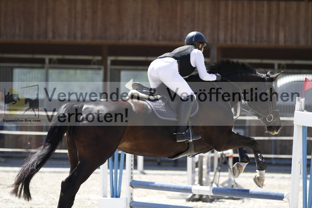 _MG_3904 | equestrian-live-com