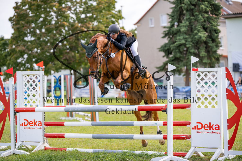 A7V04839 | Turnier/Reitfotograf