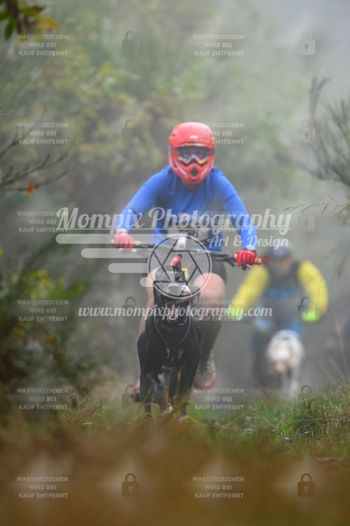 MompixPhotography_20TSB_E4_Bike-116 | PayLife